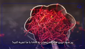پر سود ترین صادرات زعفران به کانادا با ما تجربه کنید!
