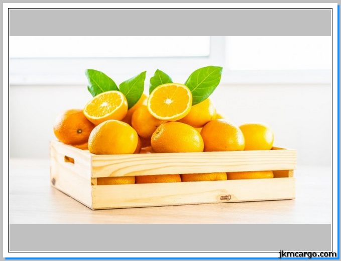 صادرات پرتقال با جهان کالا کارگو