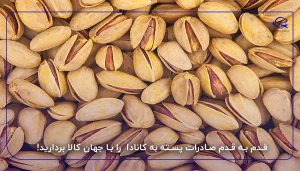 قدم به قدم صادرات پسته به کانادا را با جهان کالا بردارید!