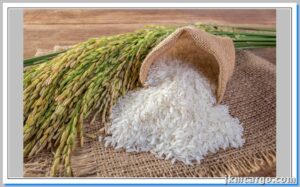 خدمات صادرات برنج به روسیه جهان کالا کارگو