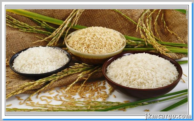 صادرات برنج به ترکیه جهان کالا کارگو