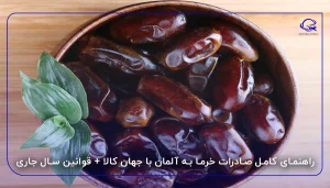 راهنمای کامل صادرات خرما به آلمان با جهان کالا + قوانین سال جاری