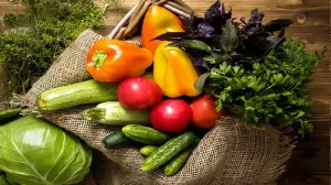 صادرات صیفی جات