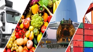 حمل و نقل کالاهای فاسد شدنی