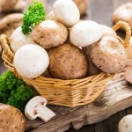 ارسال قارچ به کویت