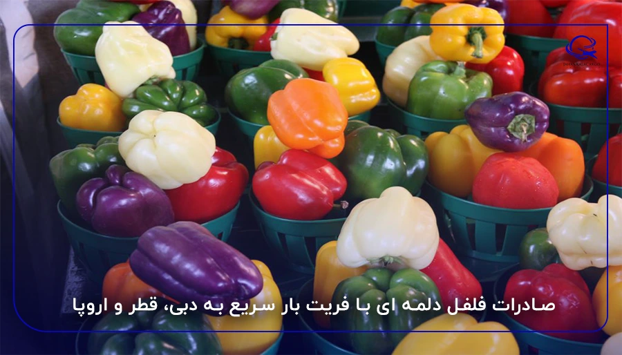 صادرات فلفل دلمه ای با فریت بار سریع به دبی، قطر و اروپا